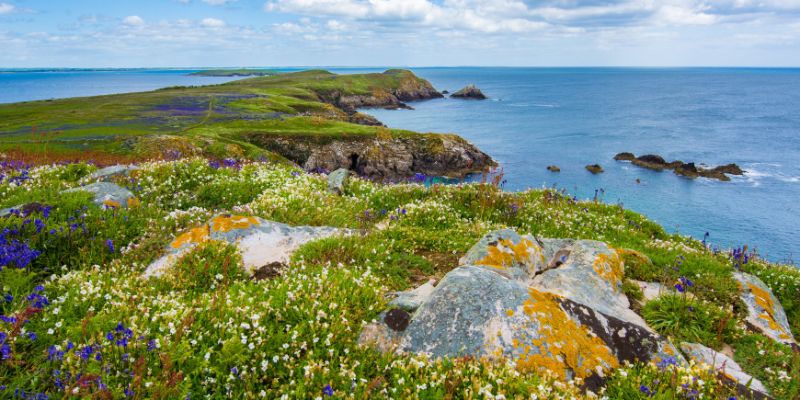 Untitled design - 2022-09-27T154138.838 Untitled design - 2022-09-27T154138.838