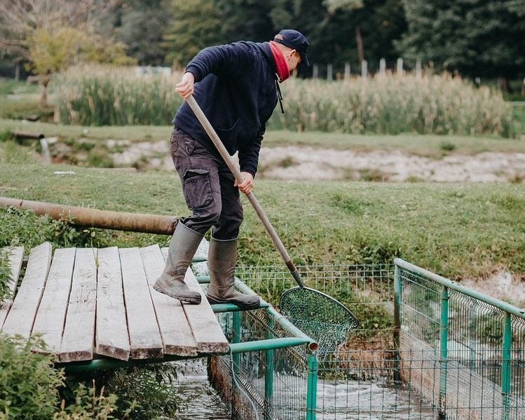 Chytanie kaprov - Rybárstvo Stupava