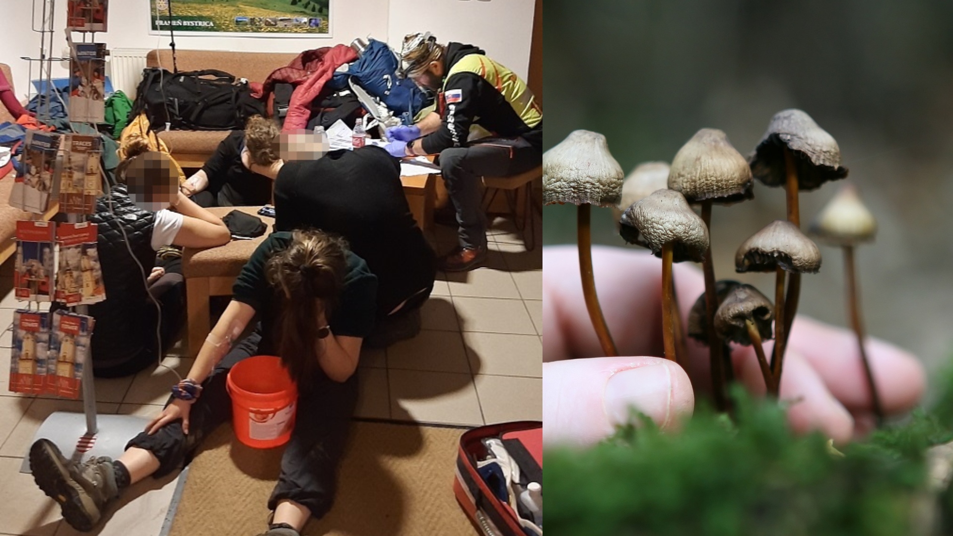 Horskí záchranári pomohli poľským turistom vo veľkej fatre, ktorí požili koláče s halucinogénnymi hubami.