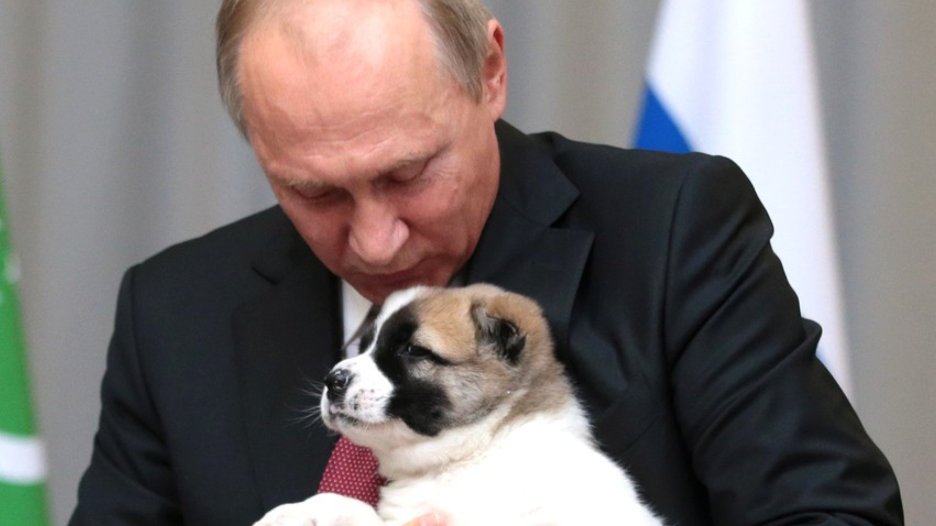 Putin s jedným zo svojich domácich psov, ktorý má menom Verni, z roku 2017.