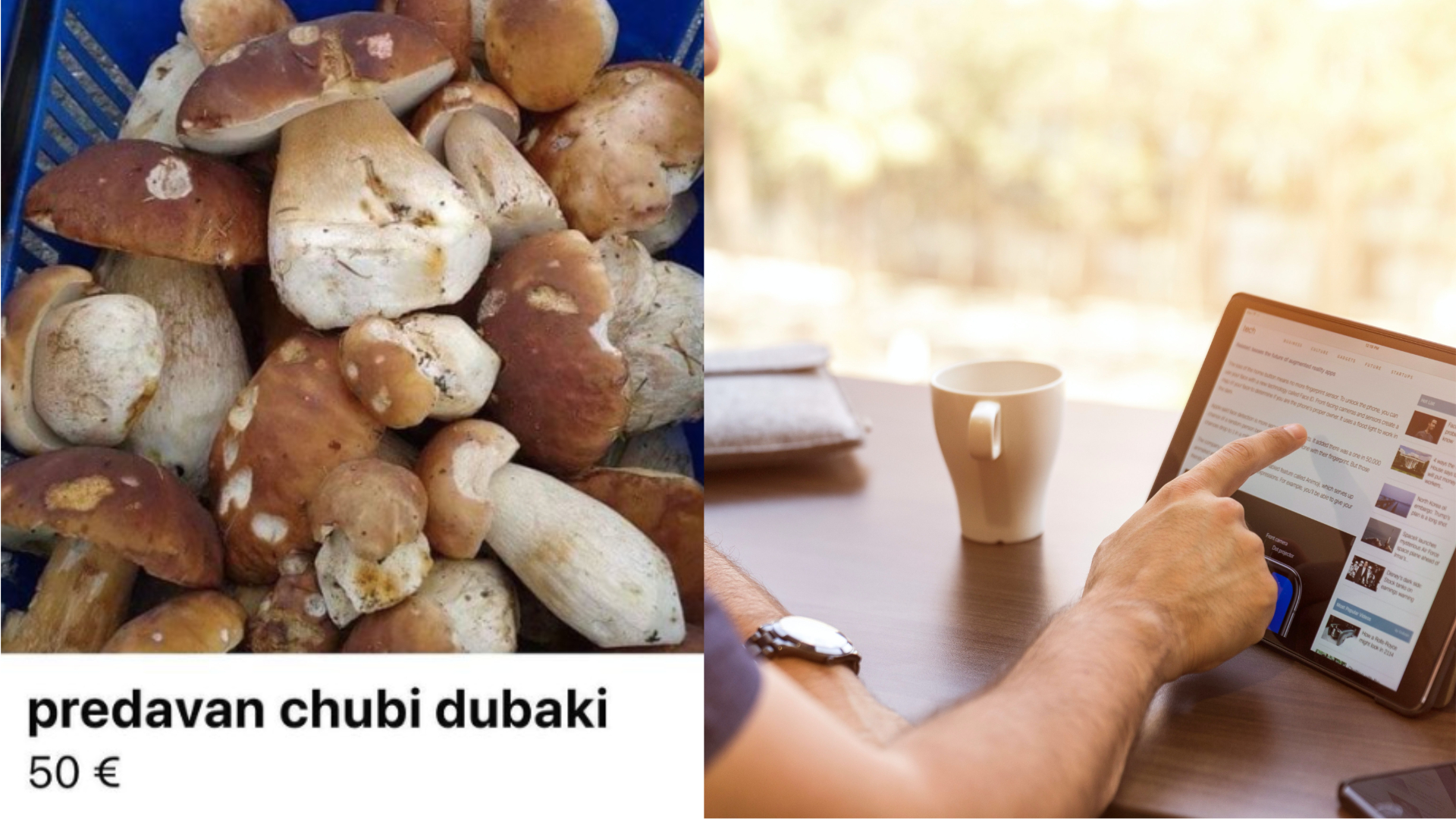 Inzerát o predaji dubákov, muž scrolluje na tablete, ilustračné obrázky