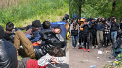 Migranti na rakúskych hraniciach, razia v provizórnom tábore pri maďarských hraniciach