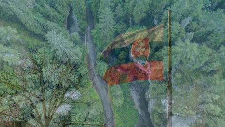 Zabudni na „okukané“