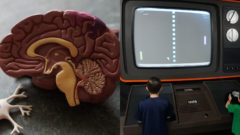 Prelomový objav: Vedcom