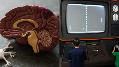 Prelomový objav: Vedcom