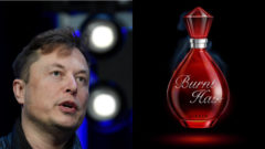 Elon Musk na