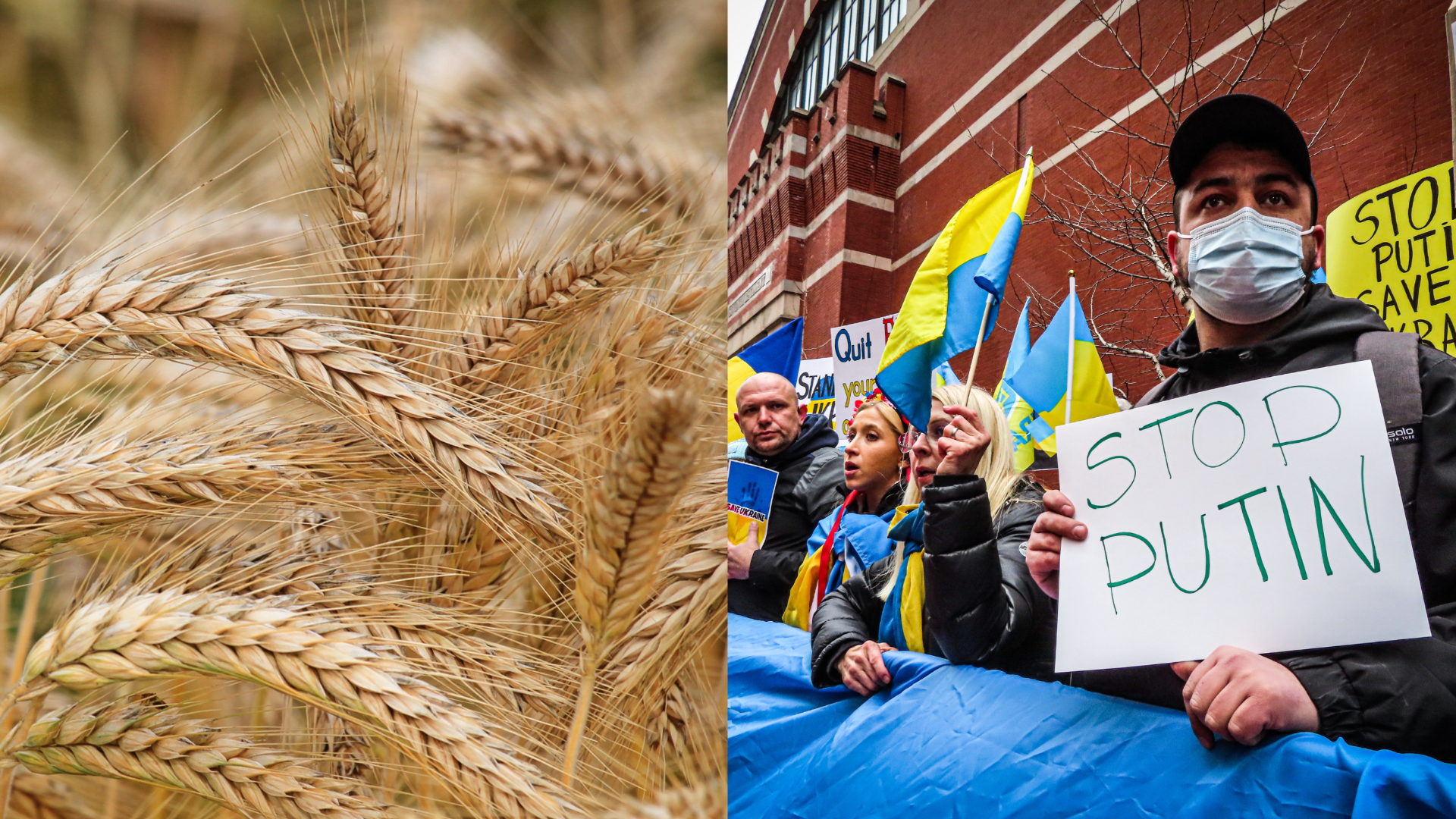 Vpravo protest proti vojne, vľavo záber na obilie