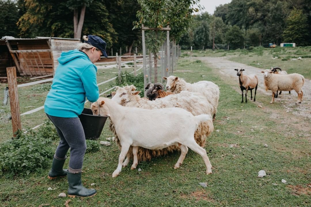 Malá farma v Rybárstve Stupava
