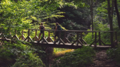 Zachránili ostrov na