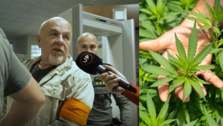 konope, marihuana, Weizer