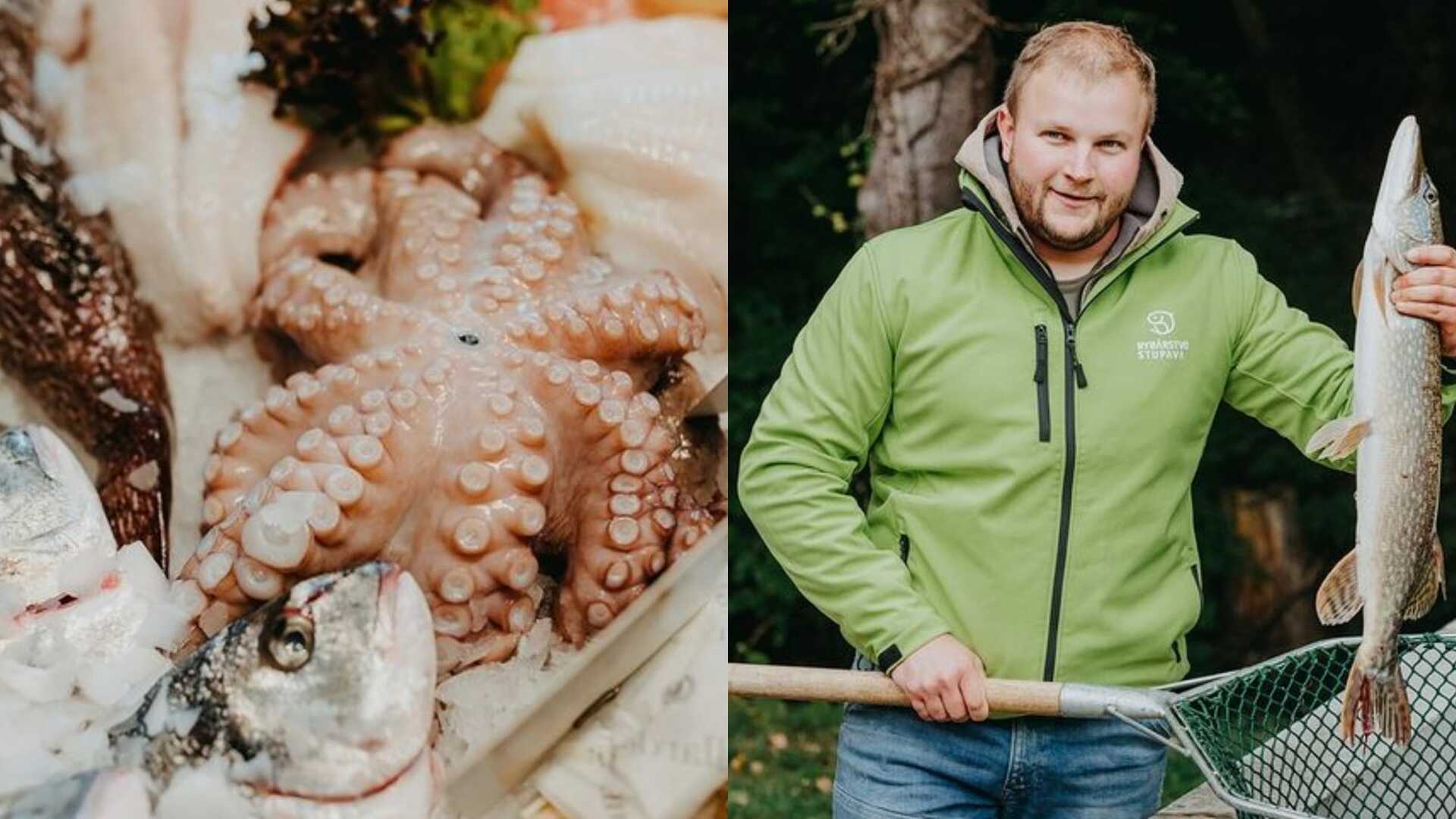 Rybárstvo Stupava - titulná fotka