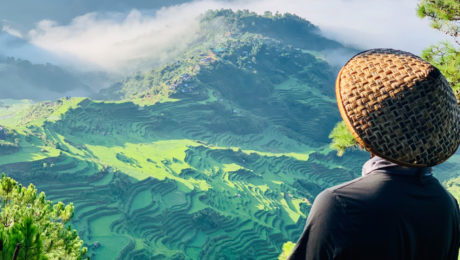 Filipíny sa pýšia nádhernými plantážami