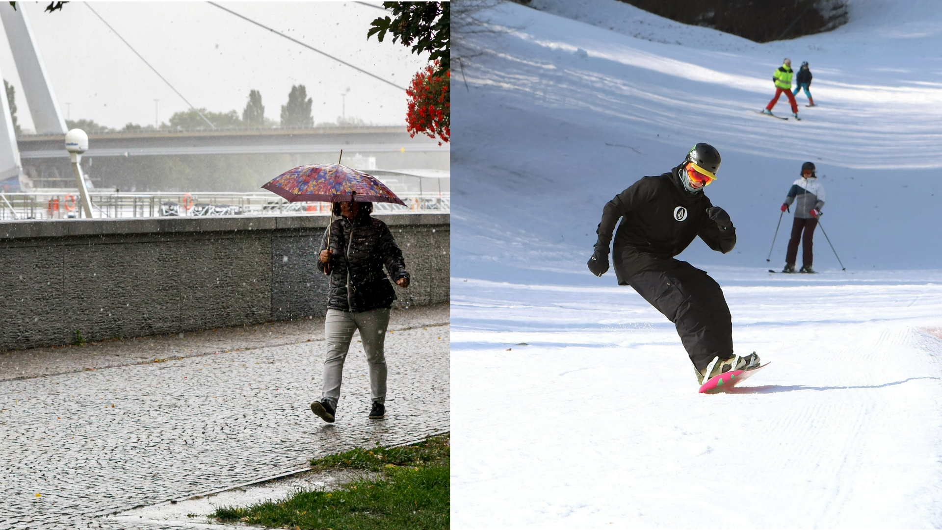 Collage Maker-04-Nov-2022-01.43-PM