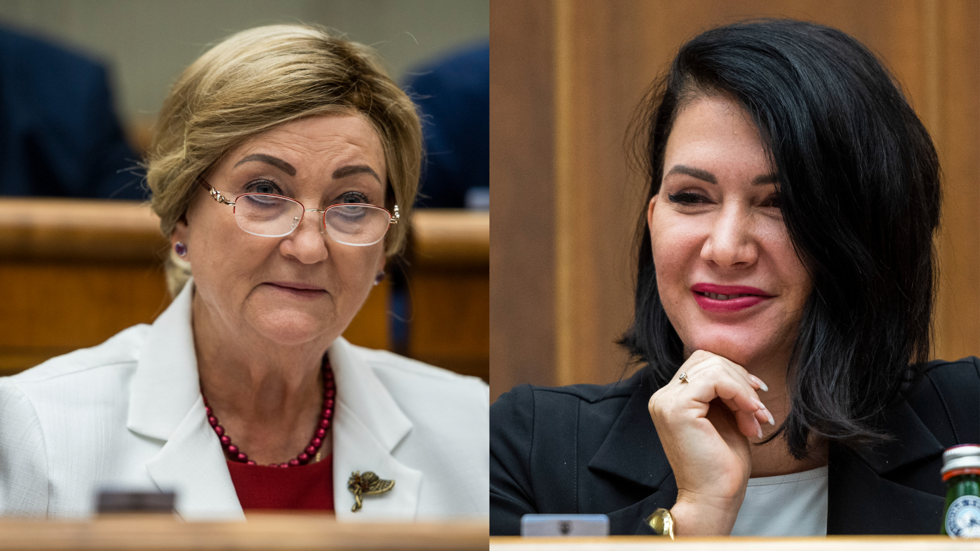 Anna Záborská (OĽANO), Jana Bittó Cigániková (SaS)