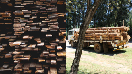 drevo, dovoz dreva
