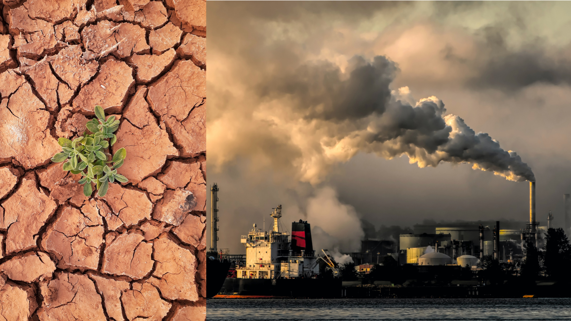 globálne otepľovanie