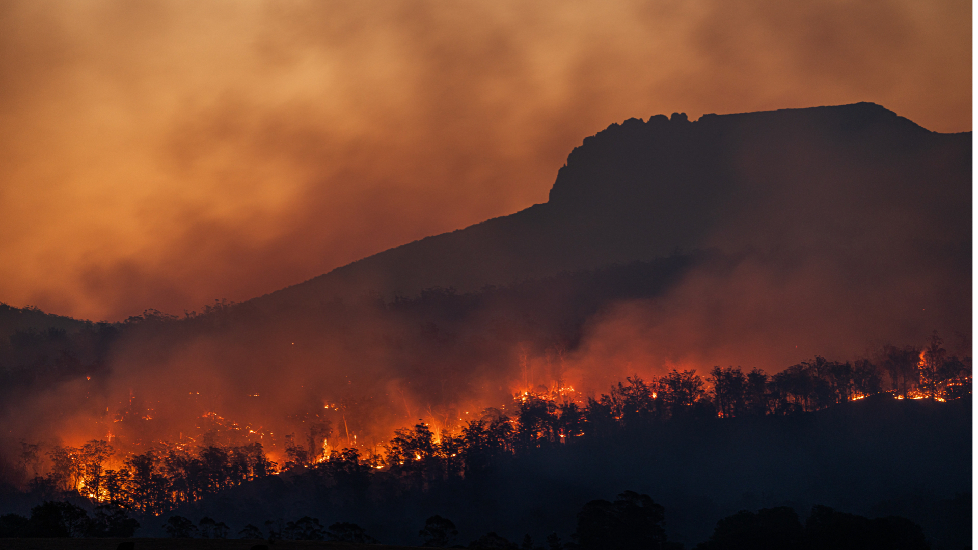 globálne otepľovanie