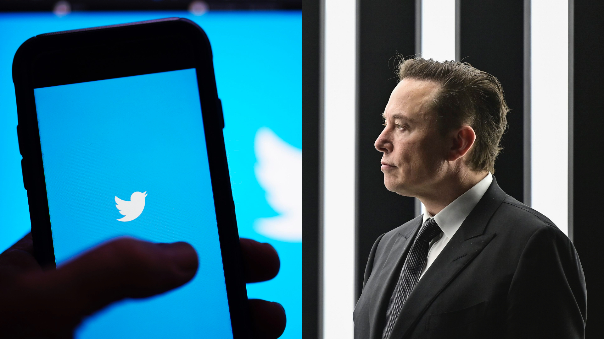 Elon Musk a aplíkacia Twitter, vyhadzuje zamestnancov