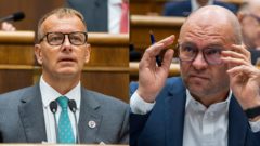 Richard Sulík, Boris Kollár