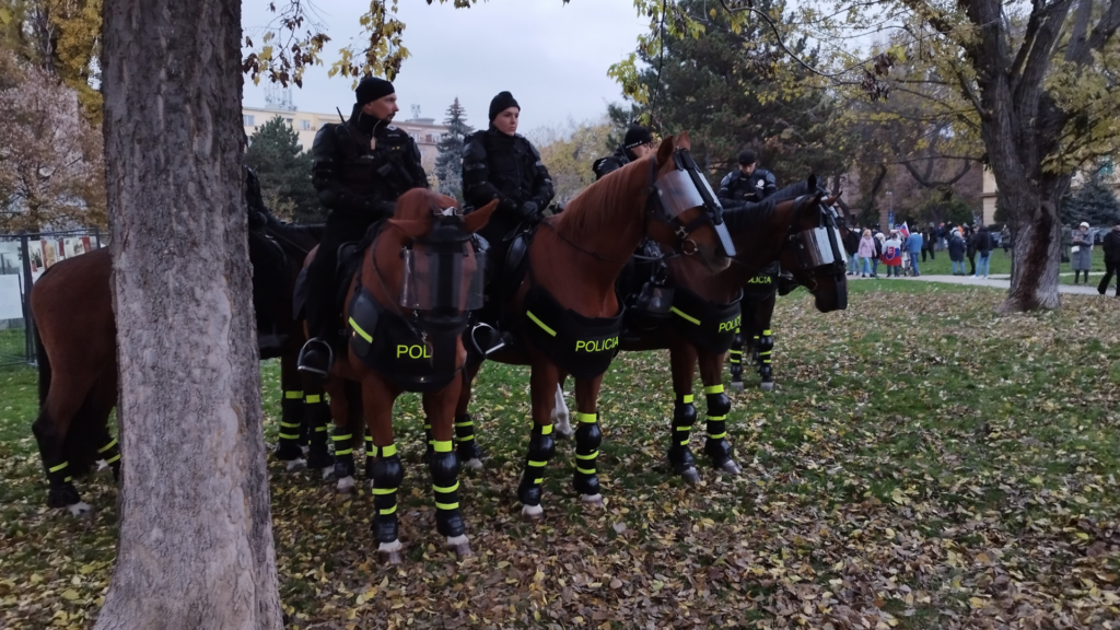 Protivládny protest