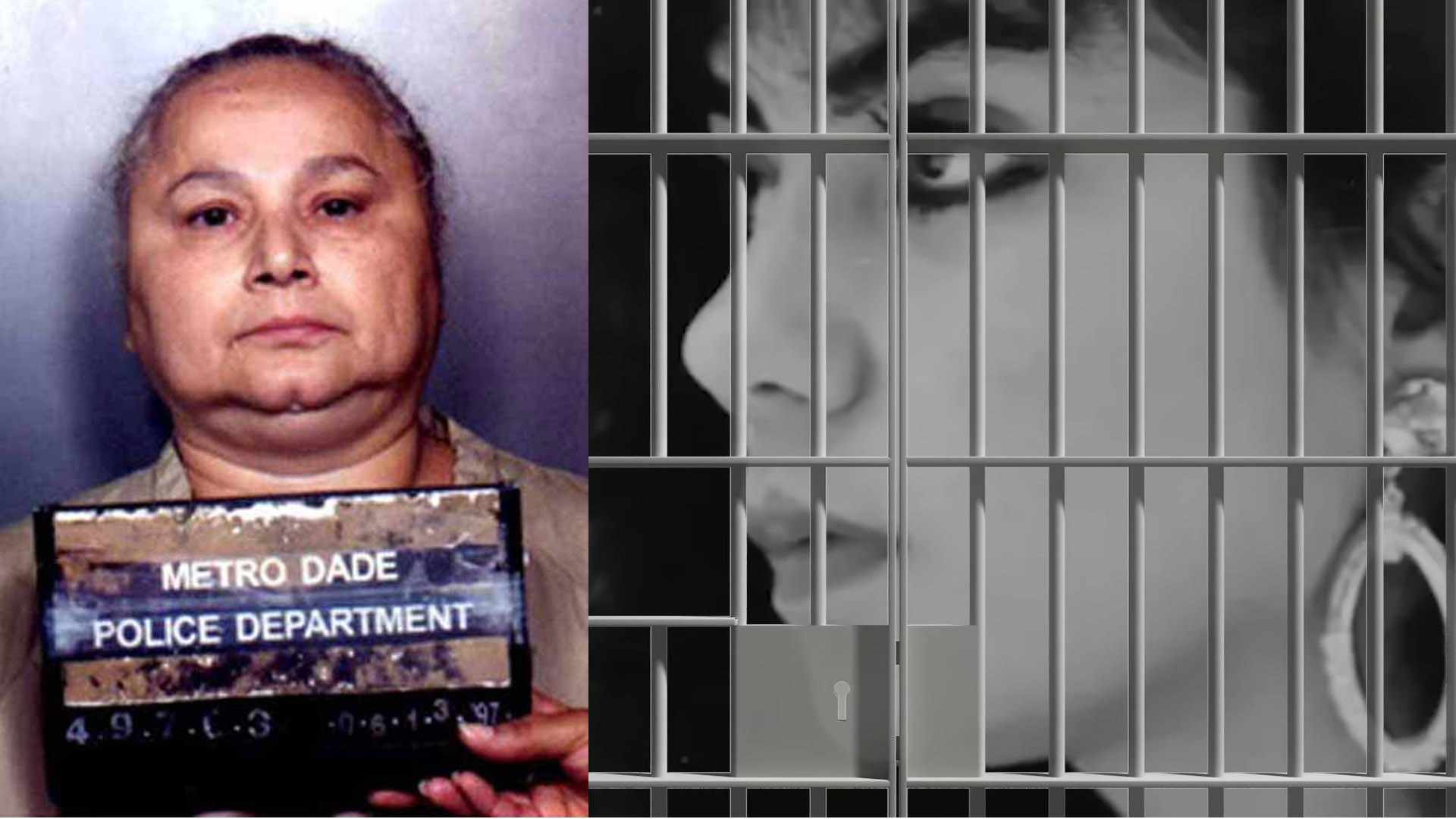 Kráľovné kartelov