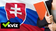Máš slovenčinu v