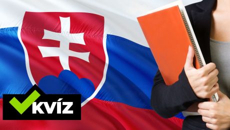 Máš slovenčinu v