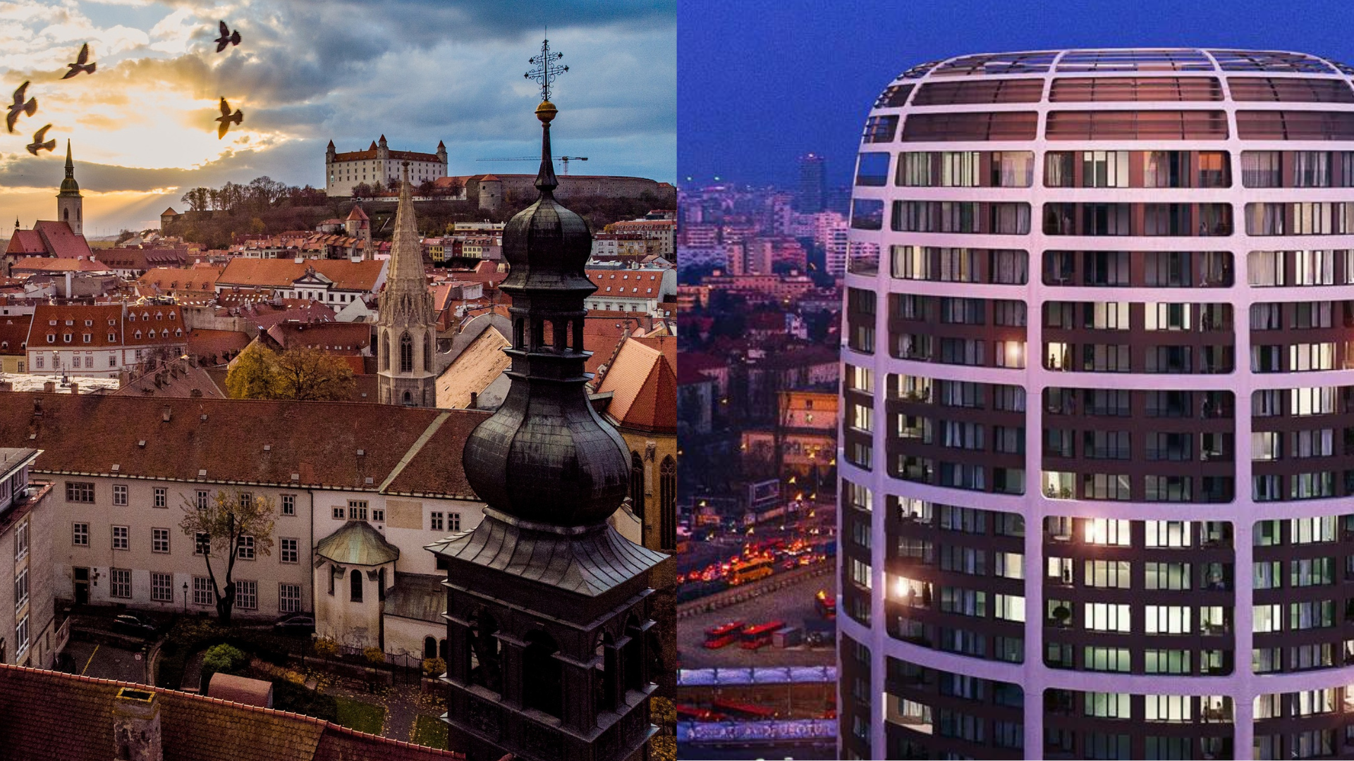 Untitled design (62)