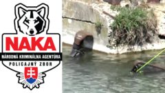 NAKA vyšetruje vraždu podnikateľa z Novák