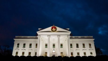 Vianočná dekorácia Biely dom