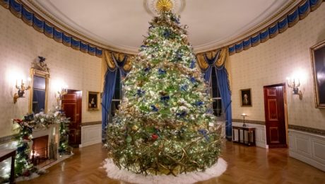 Vianočná dekorácia Biely dom