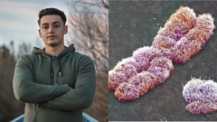 y chromozóm muž gén