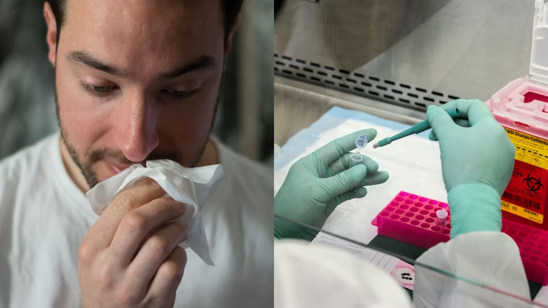 nos baktérie zima chlad