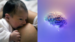 tehotenstvo mozog