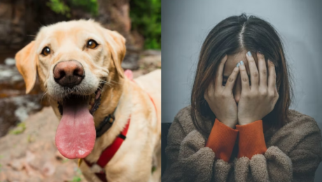 eutanázia zviera smútok