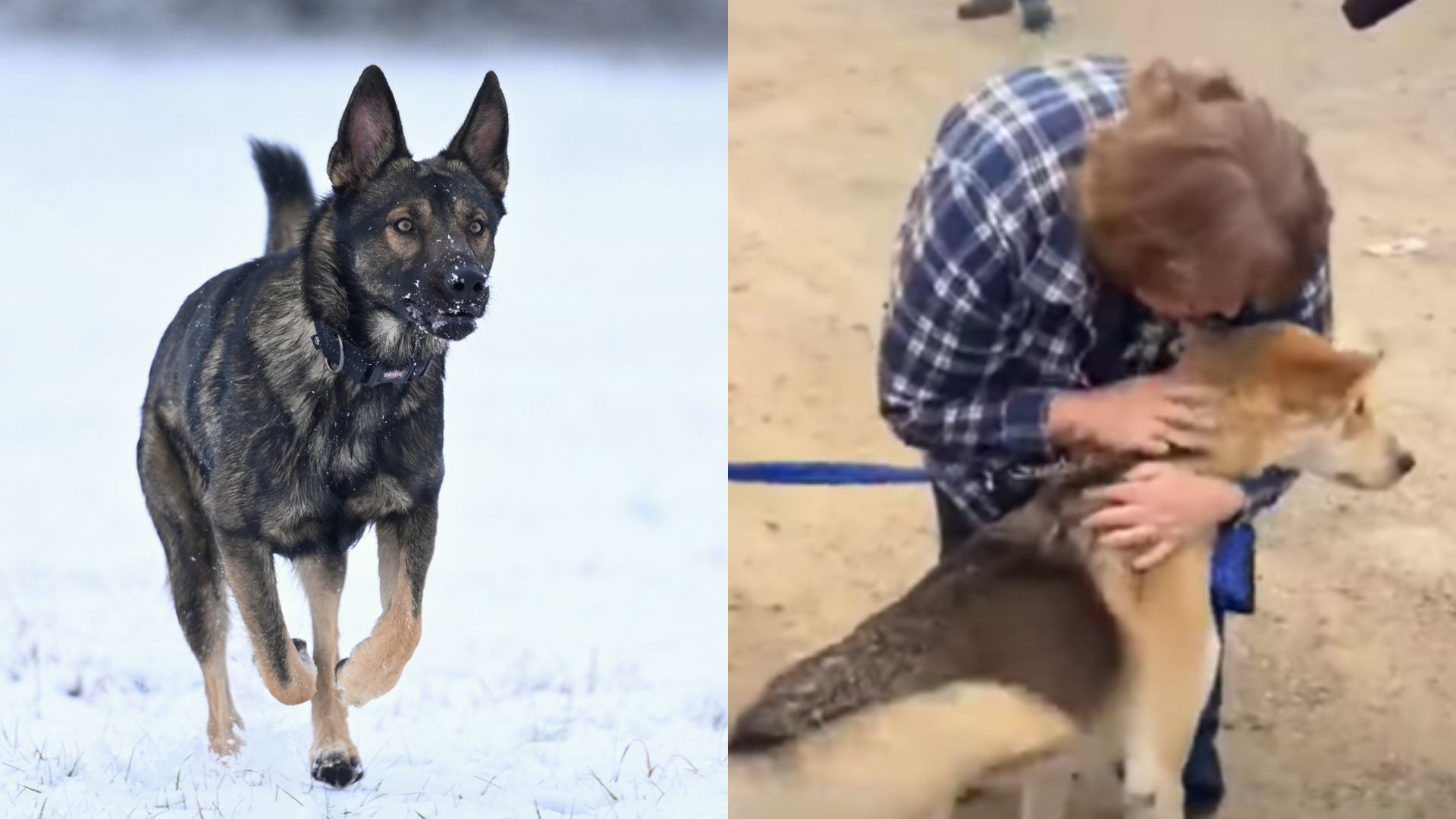 zeppelin pes kansas kalifornia