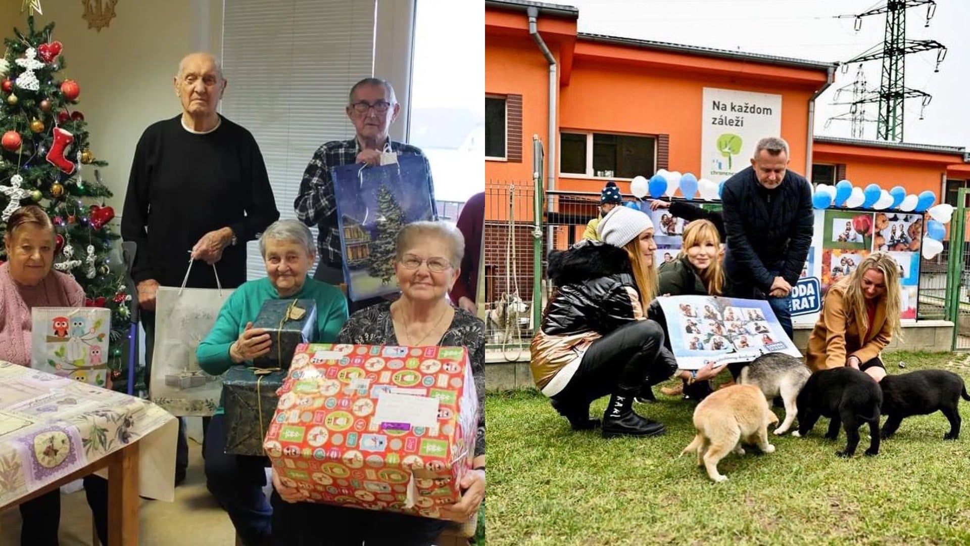 dochodcovia a celebrity s psami