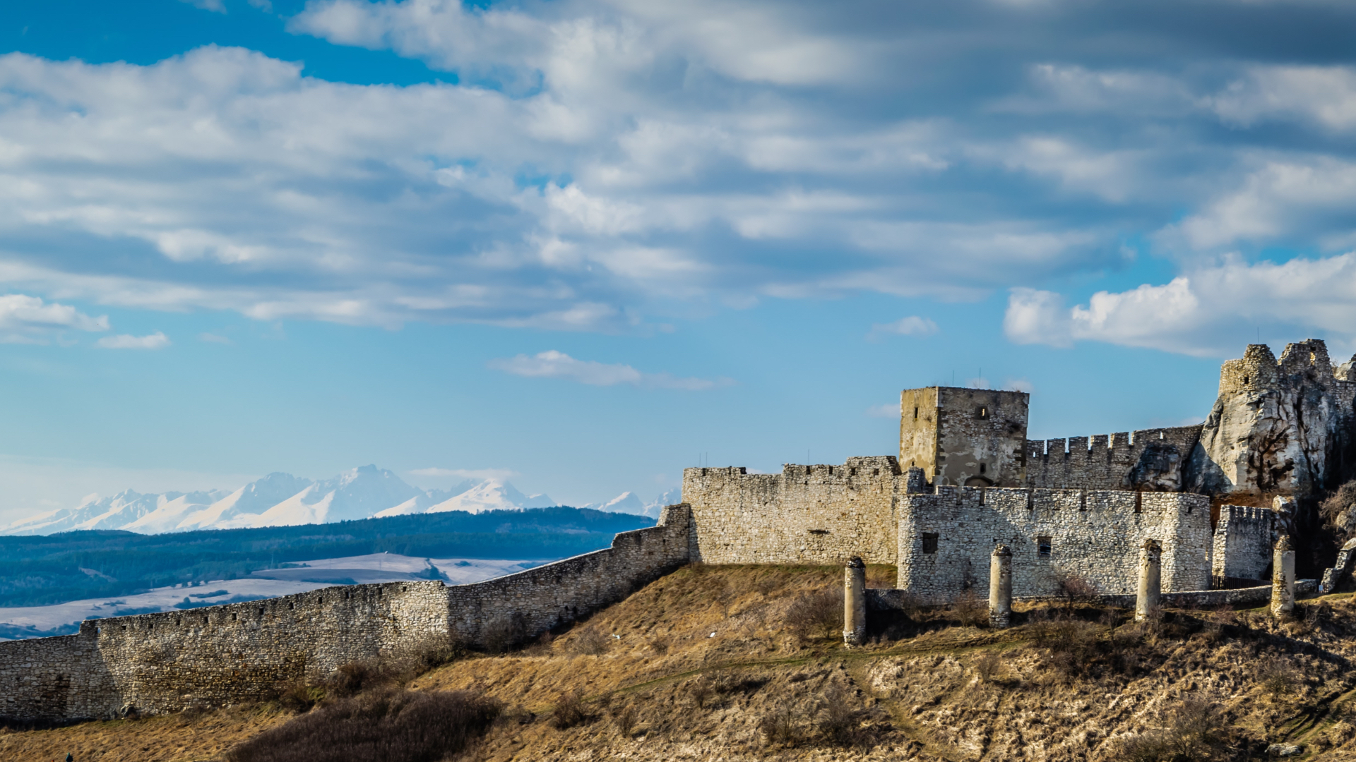 Collage Maker-05-Dec-2022-07.06-PM