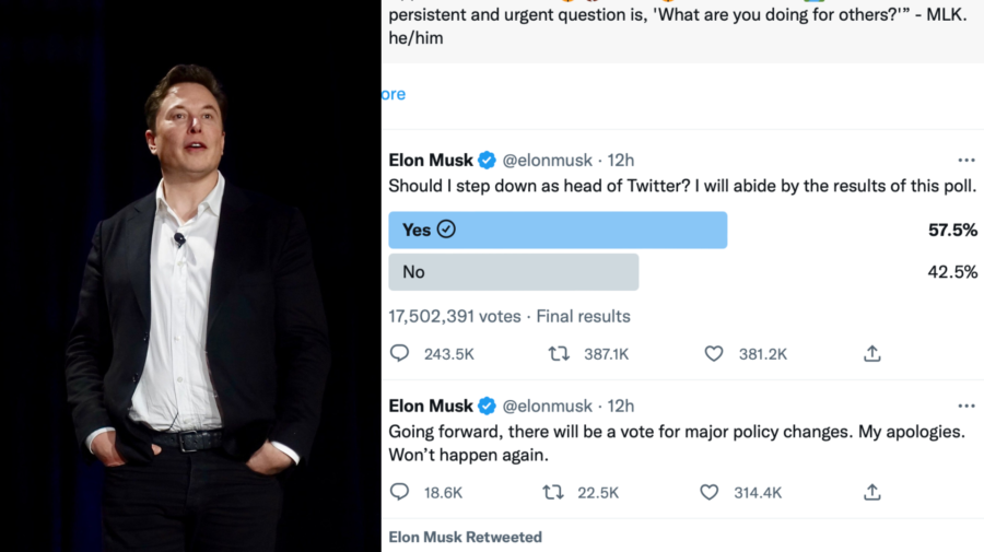 Elon Musk a jeho anketa na Twitteri