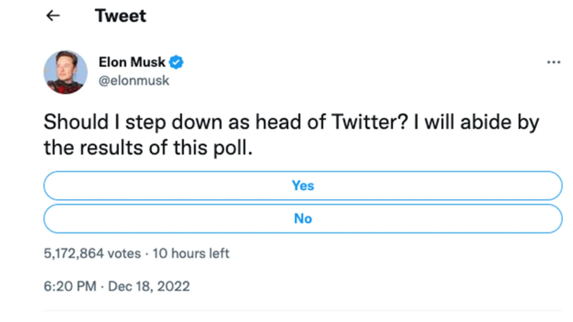 Anketa Elona Muska