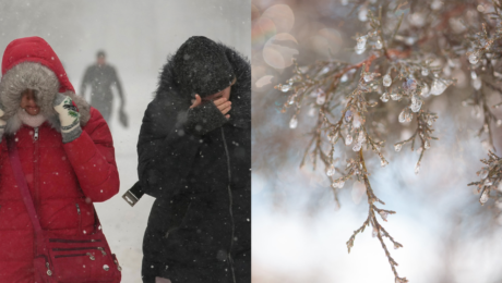 Ženy sa ukrývajú pred snehom a zamrznutý dážď na strome