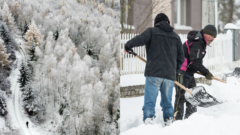 Zamrznutý a zasnežený les a ľudia s lopatami
