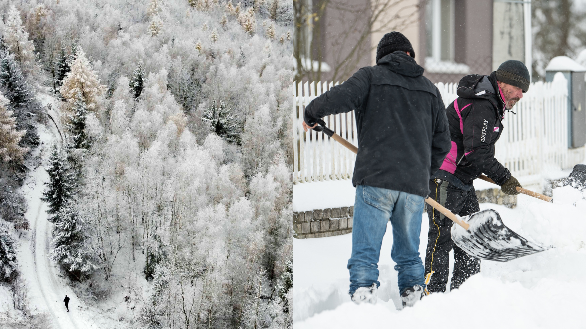 Zamrznutý a zasnežený les a ľudia s lopatami