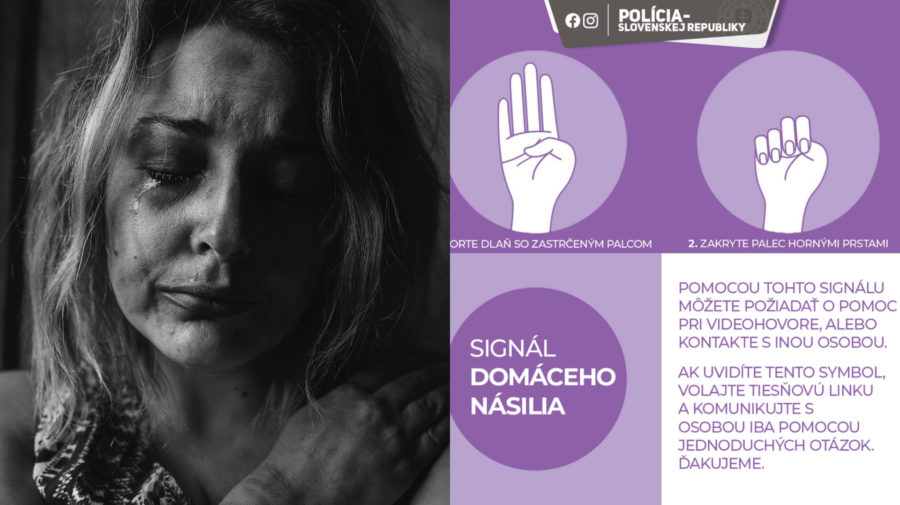 domáce násilie