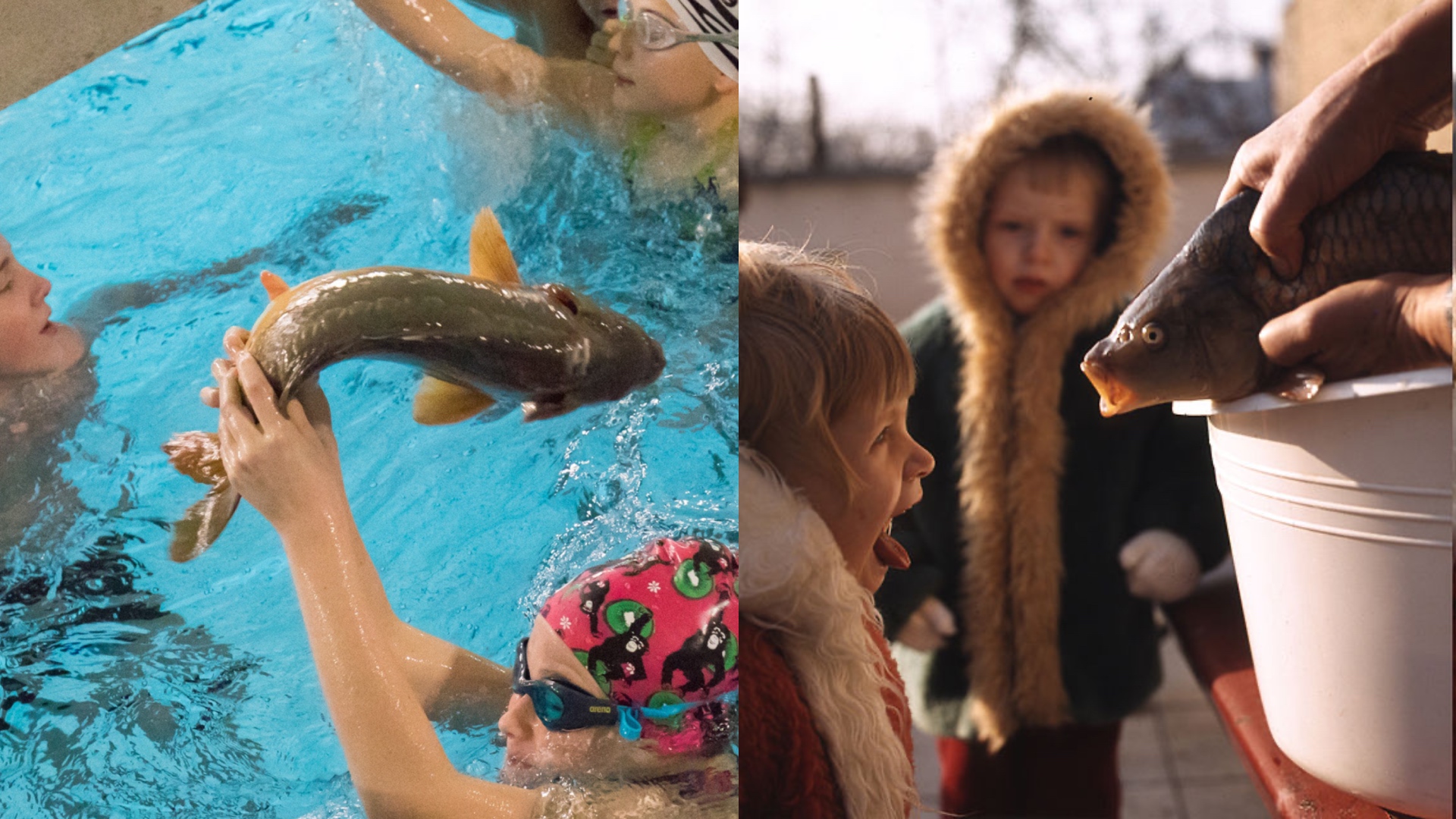 Na snímke je kapor a deti.