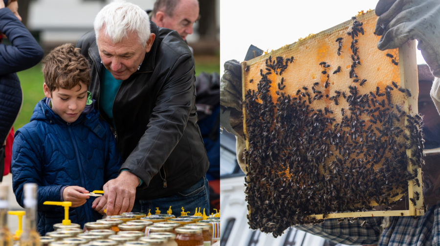 Starý otec a vnuk na výstave medu koštujú. Plast z úľa plný včiel