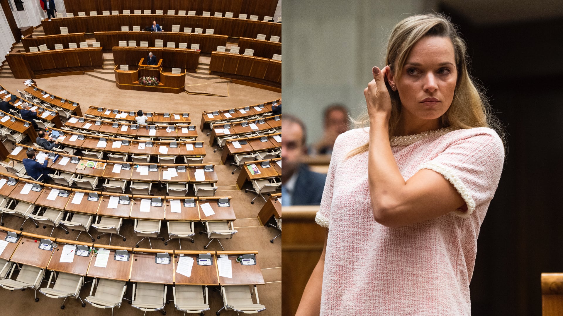 Parlament, Národná rada SR, Romana Tabak