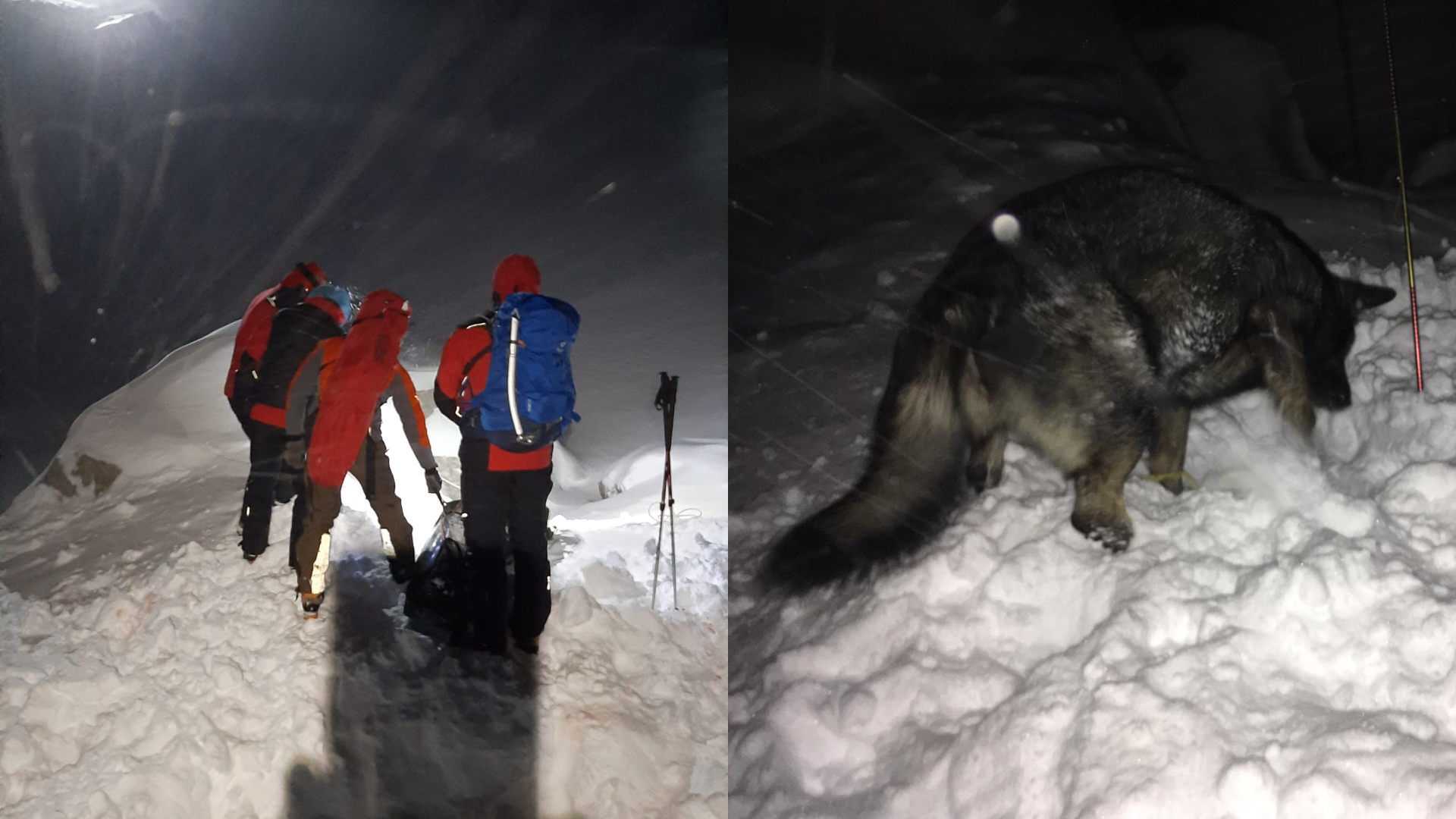Vo Vysokých Tatrách sa spustila lavína. Pátracia akcia v snehu s pátracími lavínovými psami