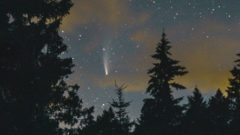 Meteorický roj a kométa