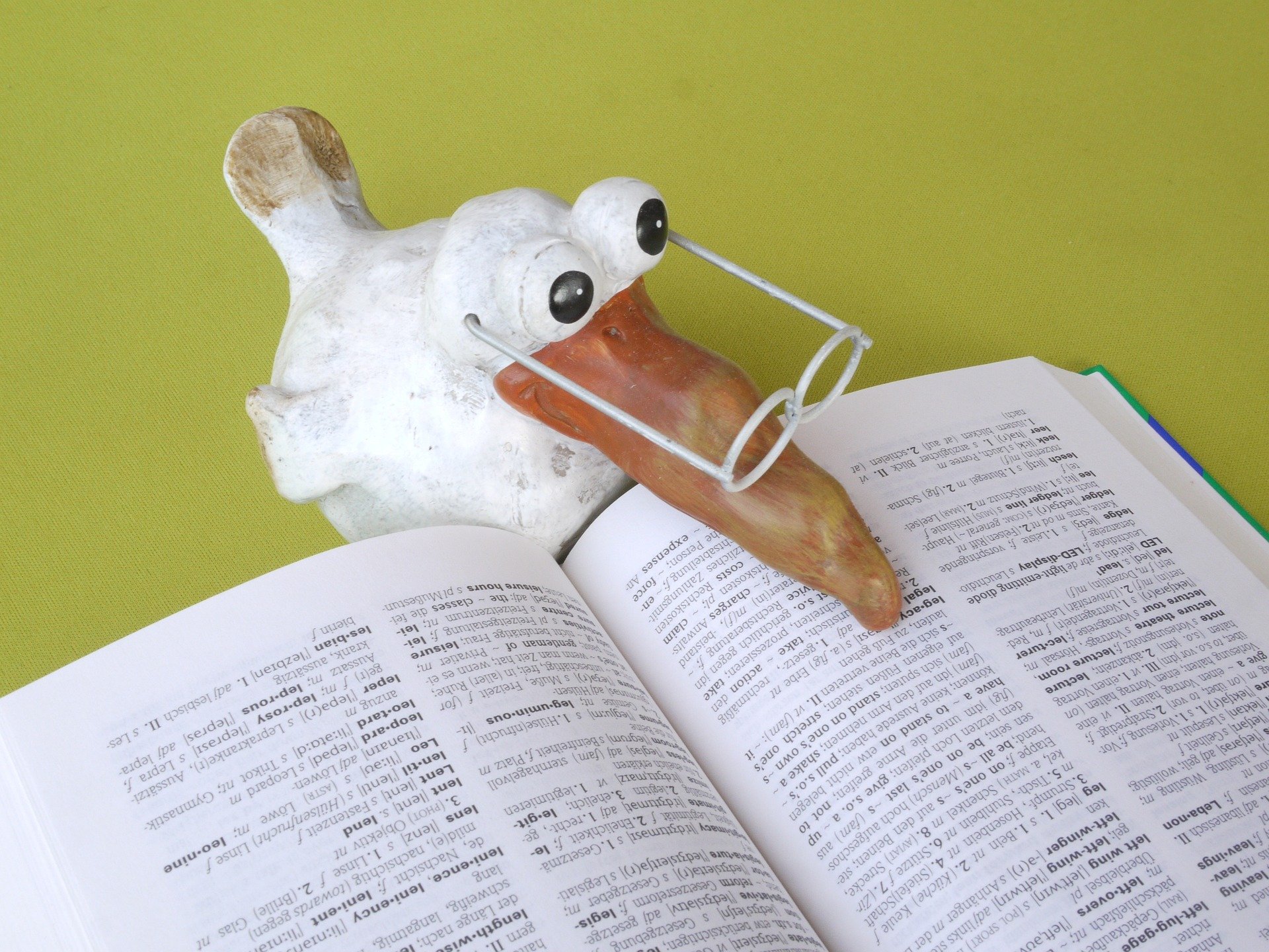 Drevený biely vták s dlhým zobákom a okuliarmi číta v slovníku